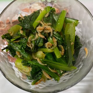 小松菜と桜エビのニンニク醤油炒め